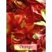$40 off 80cups/20Litres Freeze Dried Rose Petals- Outdoor garden wedding confetti decorations ideas 